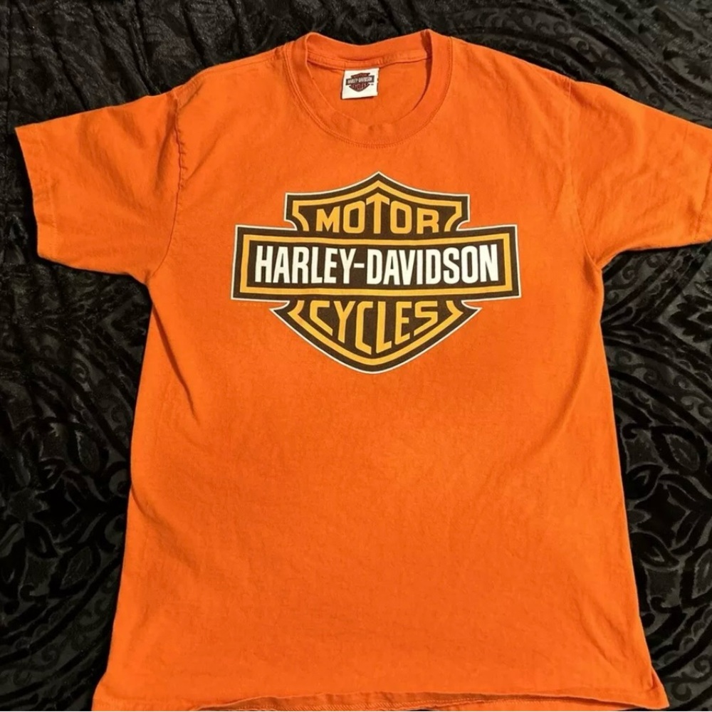 Men’s large Harley Davidson tee (RARE HTF)